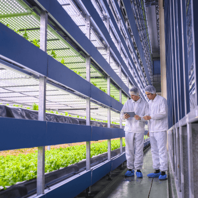 Agence de Création de Sites et Contenus Web dans le Secteur Agroalimentaire